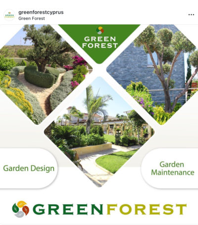 GREEN FOREST